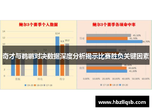 奇才与鹈鹕对决数据深度分析揭示比赛胜负关键因素